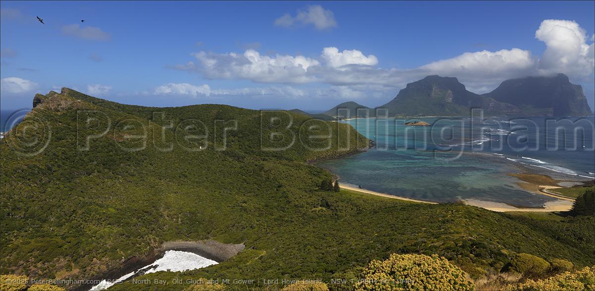 Peter Bellingham Photography North Bay, Old Gluch and Mt Gower - Lord Howe Island - NSW T (PBH4 00 11948)